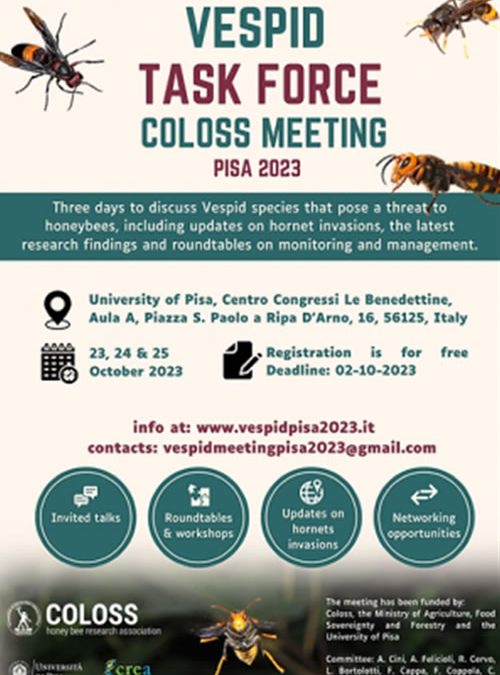 COLOSS Meeting Vespid task Force