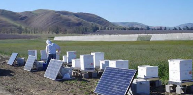 Workshop at Carl Hayden Bee Research Center, ARS-USDA